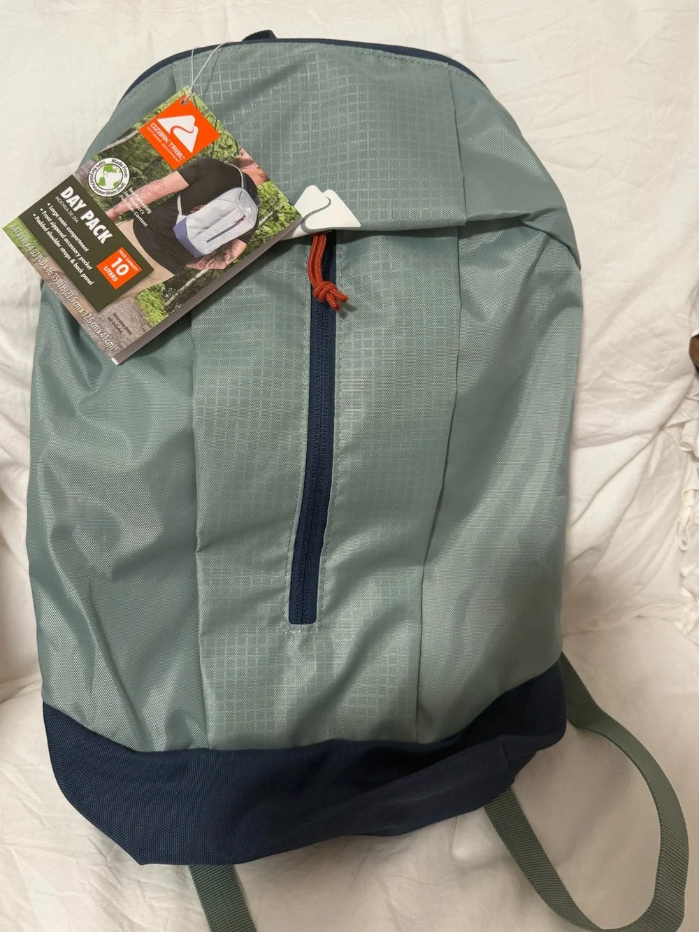 Day Pack Backpack - Light Green with Navy Base